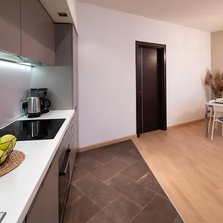 Old Riga Two Bedroom Apartment With 2 Bathrooms Buitenkant foto