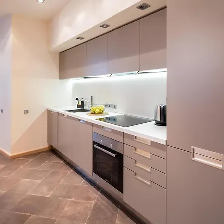 Old Riga Two Bedroom Apartment With 2 Bathrooms Buitenkant foto